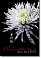 One Chrysanthemum